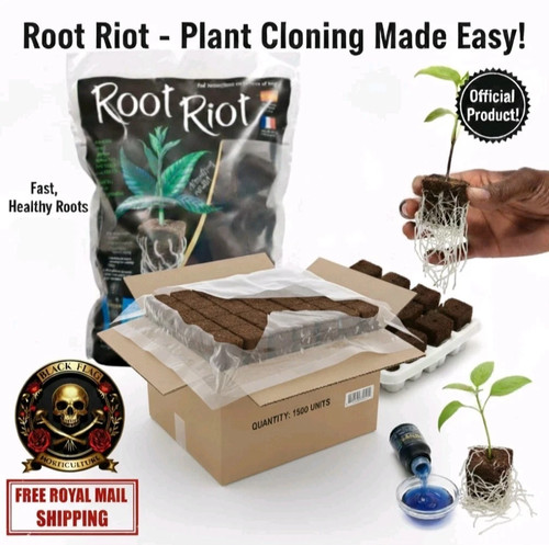 Root riot propagation cubes - root,