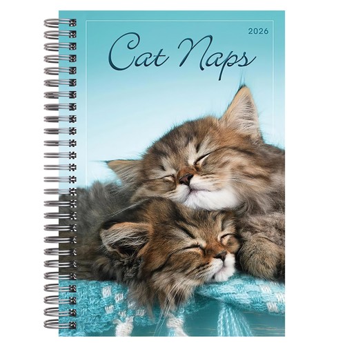 2026 weekly monthly planner - 2026,