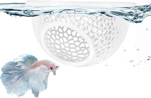 Floating betta hide - betta,