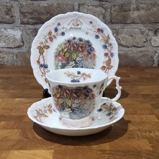 Royal Doulton Brambly Hedge
