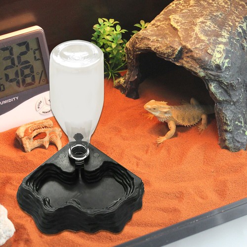Reptile water dispenser - reptile,