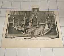 The lions at the fair a ride on the sea upon land c 1900