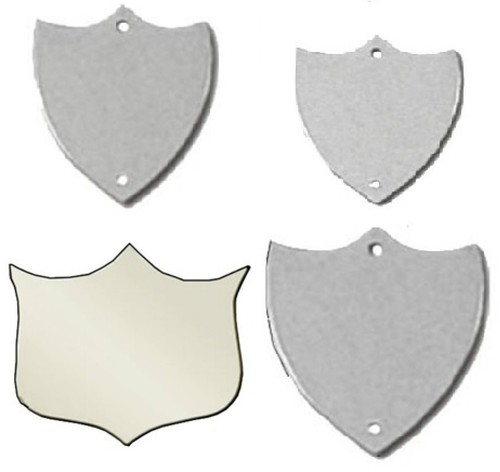 Flat silver trophy - side, shield