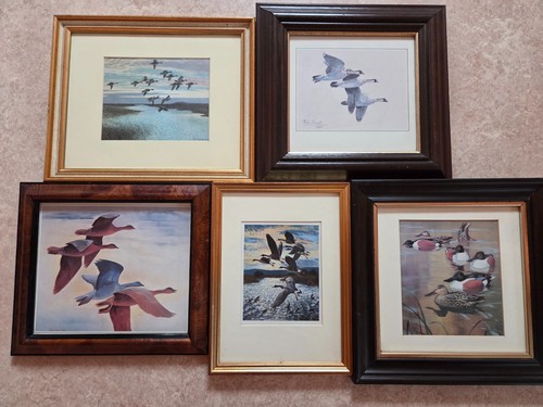 Group wild fowl prints by - wild,
