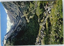 Pontresina Piz Tschierva Sella