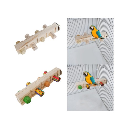 Parrot chewing bird toy play - toy,