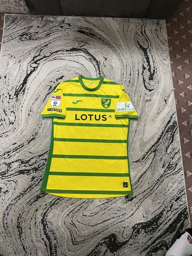 Norwich city match worn - norwich,