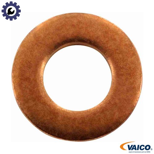 Seal ring oil - oil, plug