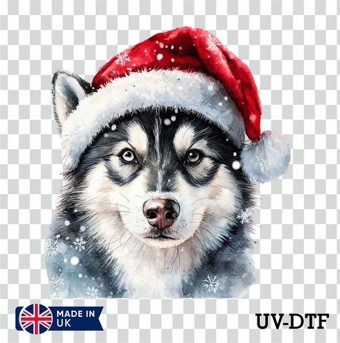 Siberian husky christmas - siberian, uv