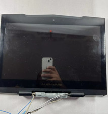 DELL ALIENWARE M15X COMPLETE LCD SCREEN ASSEMBLY  LCD Good-case poor visual cond