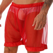 Mens Mesh Sheer See Through