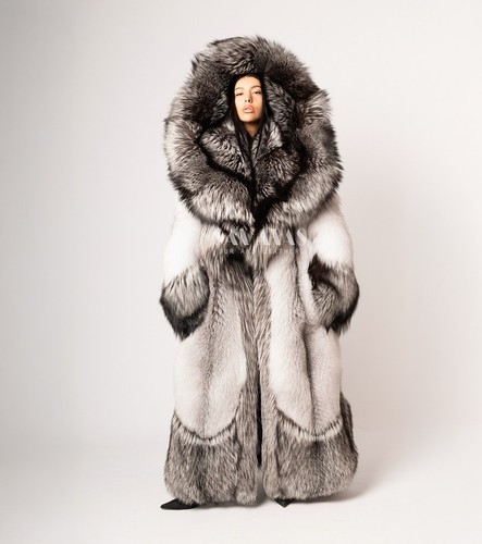 Luxury saga scandinavian - saga,