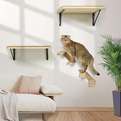 Cat climbing shelves - shelves,, wall