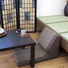 Tatami Relax Cushion Zaisu