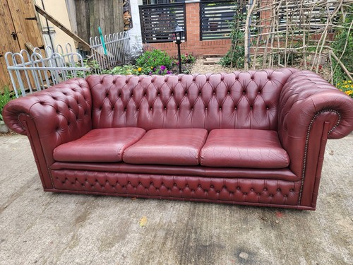 Chesterfield sofa oxblood red - oxblood,