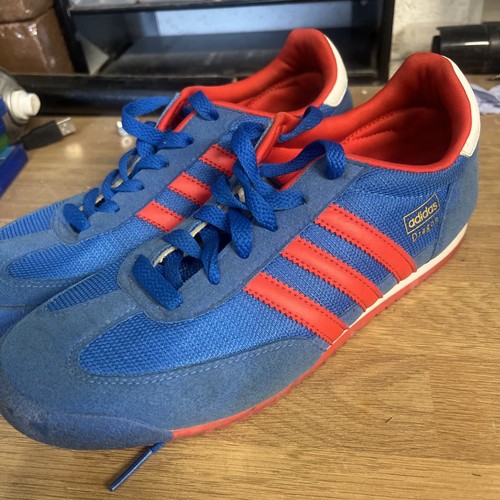 Adidas dragon shoes - dragon,