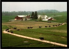 6x4" Postcard Walnut Creek