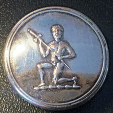 The Newton Family Crest Livery