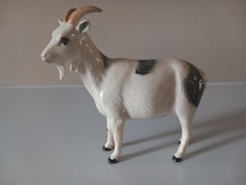 Collectable John Beswick Rare Breeds Nigerian Pot Belly Goat Figure Figurine 