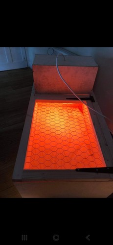 Large chick brooder - chick, cage