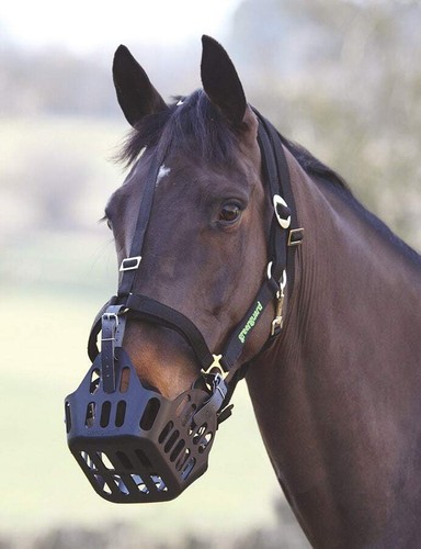 Greenguard grazing muzzle full - muzzle,