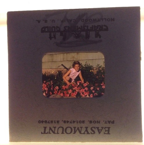 Vtg kodachrome pink flowers - pink,