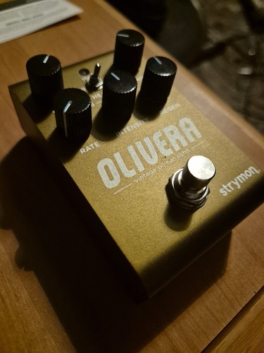 Strymon olivera oilcan delay - oilcan,