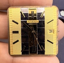 Juvenia “ EL MACHO” Two