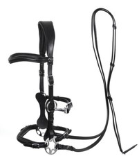 Calli Star Bitless Bridle &