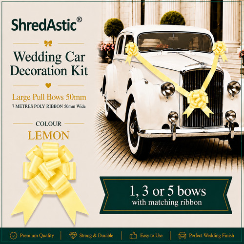 Shredastic wedding car - shredastic®,
