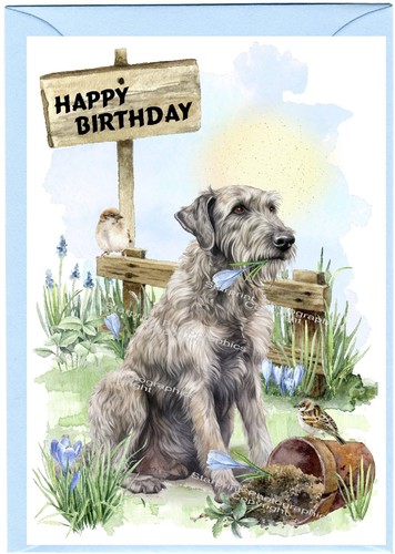 Irish wolfhound dog - irish,