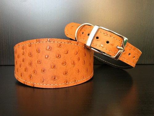 Large leather dog - large, collar