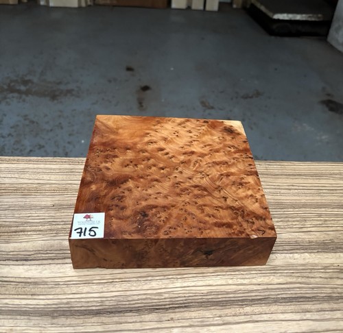 Thuya burr 8 x 2 - thuya,