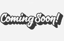 Vintage Campagnolo 8 Speed Shamal Deep Section 650c Road Time Trial Wheels