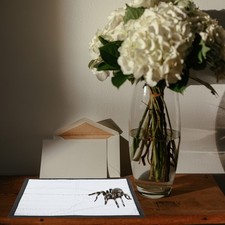  Reptile Pet Thermal Pad