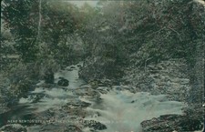 Near Newton Stewart Penkiln at Queen Mary's Bridge W hagelberg 3381