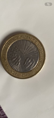Florence nightingale coin - nightingale, £2