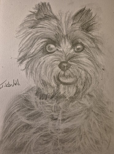 Custom pencil terrier - a4,