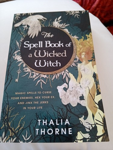 Spell book wicked witch - of,