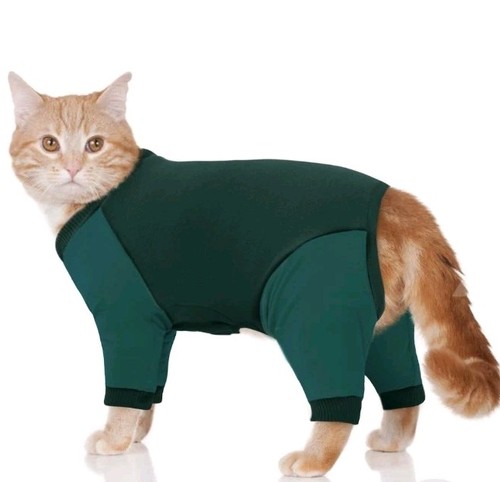 Cosy sphynx cat - cat, clothes
