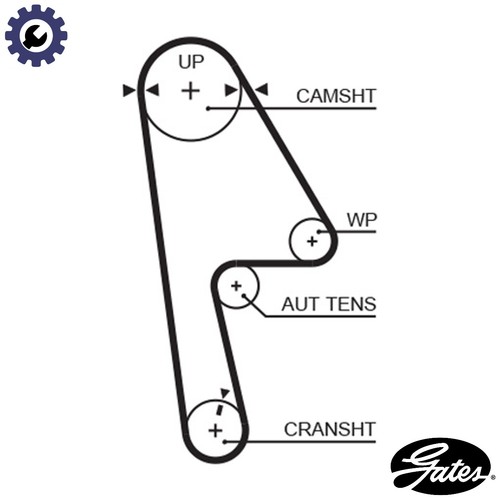 Timing belt 5593xs for - timing,