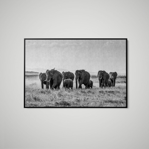 Artographie african elephant - -,