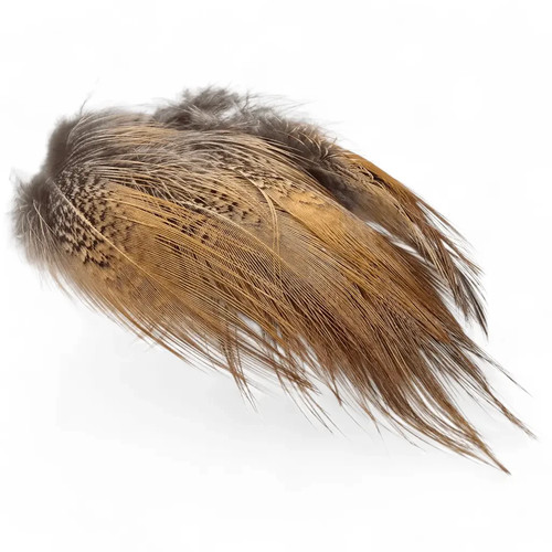 Kindale cock pheasant long - cock,
