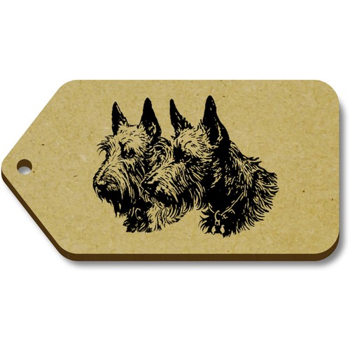 Scottish terrier couple - terrier, couple'