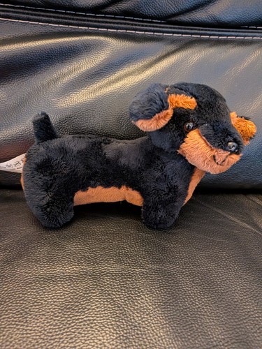 Gosh designs dachshund - dachshund, black
