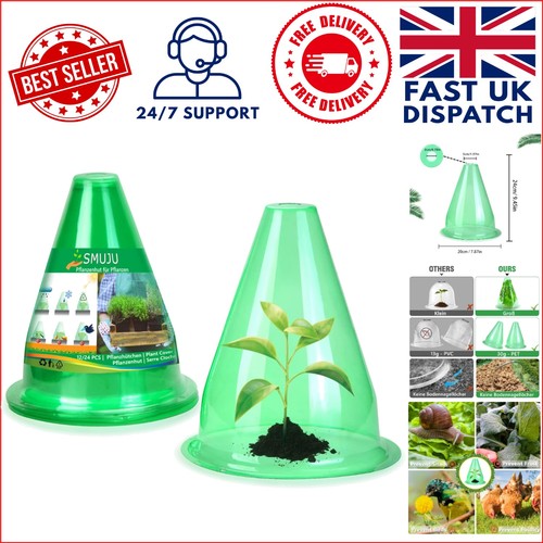 Conical plant protectors 24 - protectors,