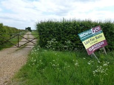 Photo A1 Over 50 acres of land