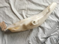 HONDA CB 600F HORNET COOLANT EXPANSION BOTTLE 2009-13 19101-MFG-D000