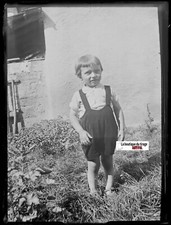 Young boy, child, Glass plate