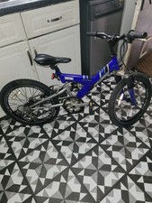 Raleigh Max Boys Bike